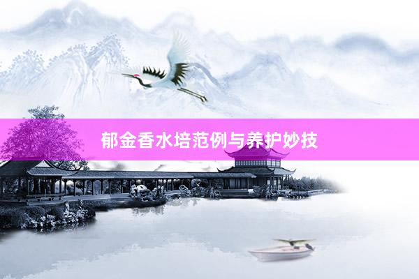 郁金香水培范例与养护妙技