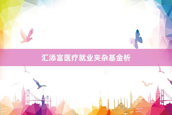 汇添富医疗就业夹杂基金析