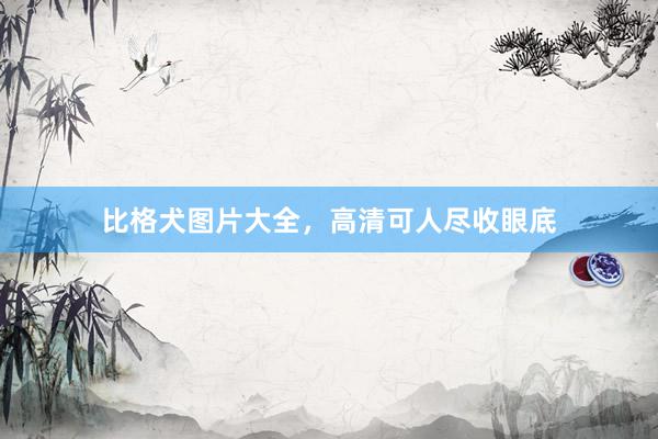 比格犬图片大全，高清可人尽收眼底